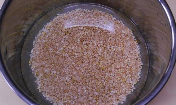 昆布排骨糙米粥-昆布排骨糙米粥的做法3