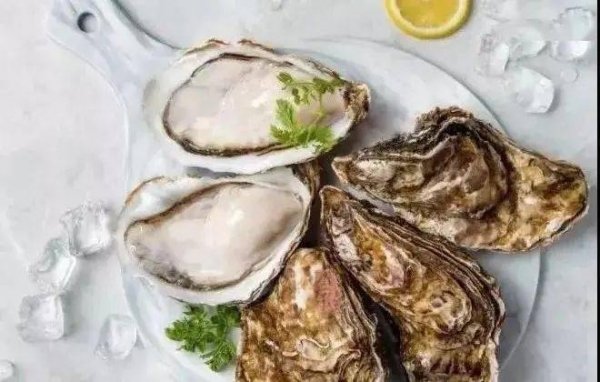 如何预防食用贝类中毒-贝类在食用时应注意什么1