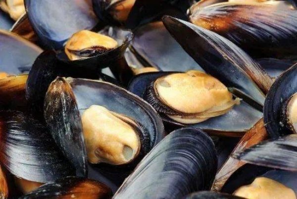 如何预防食用贝类中毒-贝类在食用时应注意什么3