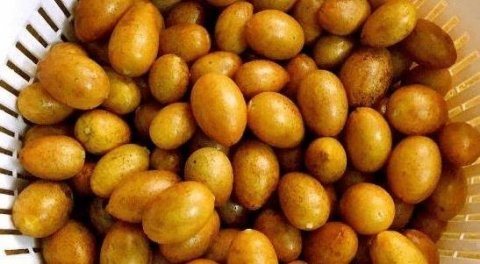 哪些水果可以放冷冻-最适合放冰箱冷冻的5种水果有哪些5