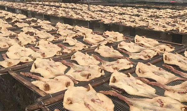 哪里鸭肉好吃最出名-哪个地方的鸭子最有名4