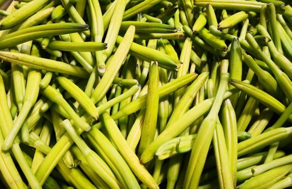 黄花菜怎么处理没有毒-黄花菜的做法1