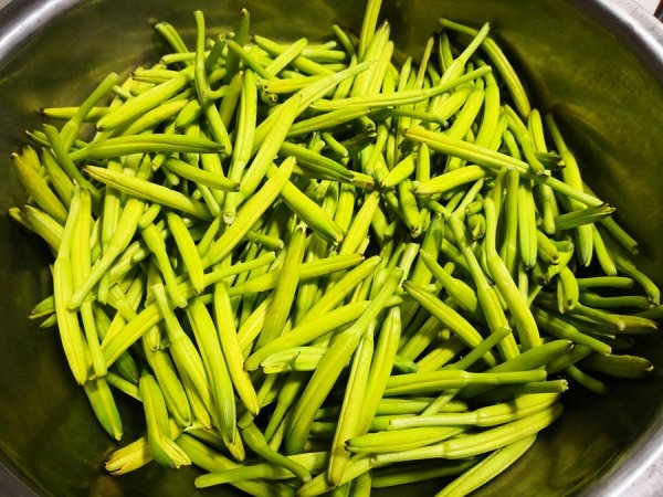 黄花菜怎么处理没有毒-黄花菜的做法4