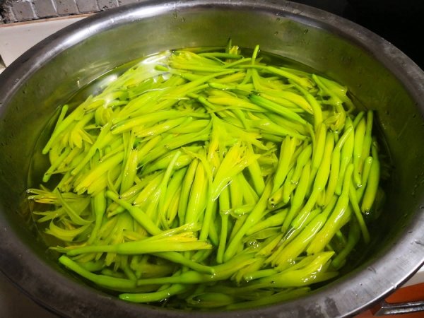 黄花菜怎么处理没有毒-黄花菜的做法7