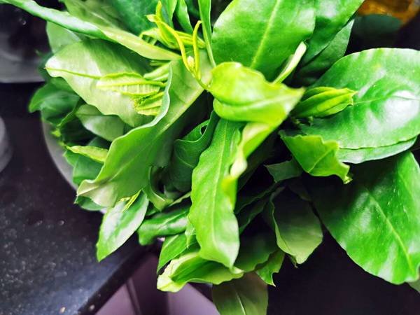 秋膘怎么贴-怎样贴秋膘不上火6