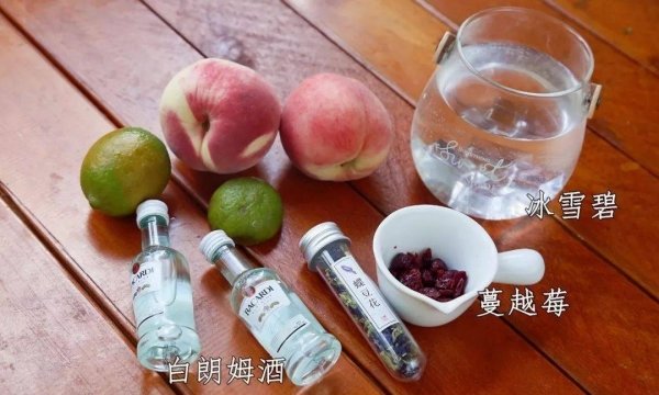 网红气泡水饮料-网红气泡水制作方法4
