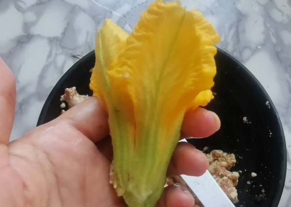 南瓜花可以吃吗-南瓜花的做法8