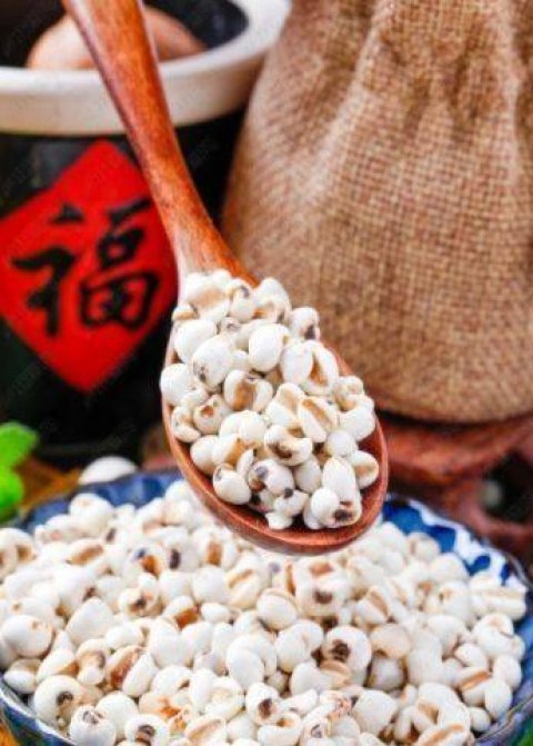 秋天白色食物有哪些-秋天吃什么白色食物2