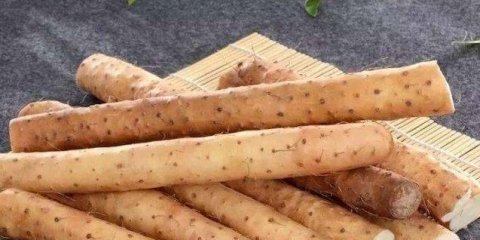 秋天白色食物有哪些-秋天吃什么白色食物4