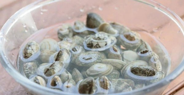 蛤蜊炖鸡怎么做-蛤蜊炖鸡的做法6