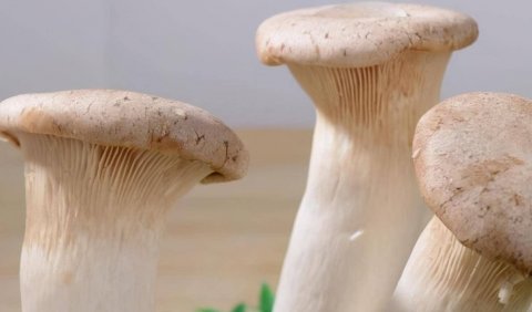想长寿吃什么东西最好-想长寿的秘诀2