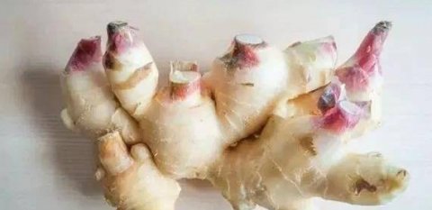 如何制作辣黄瓜条-各种咸菜的做法大全25