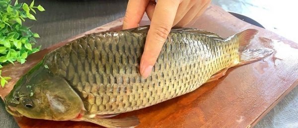 怎么刮鱼鳞不乱飞-刮鱼鳞的正确方法3