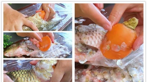 怎么刮鱼鳞不乱飞-刮鱼鳞的正确方法5