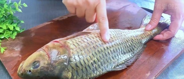 怎么刮鱼鳞不乱飞-刮鱼鳞的正确方法7