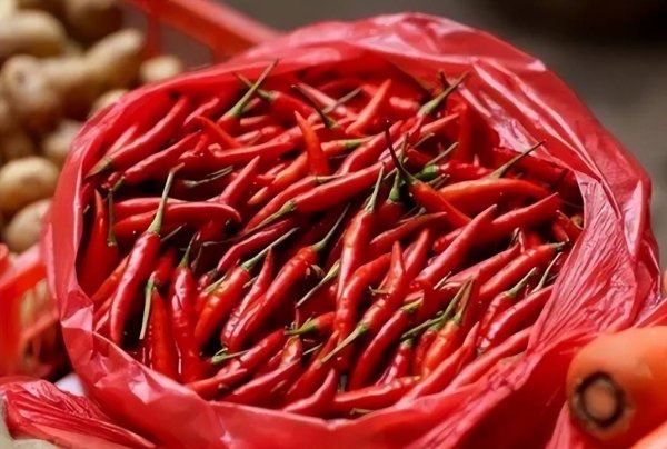出伏怎样养生-出伏应该注意什么10