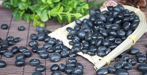 补肾吃什么东西效果最好-补肾的最佳食物3