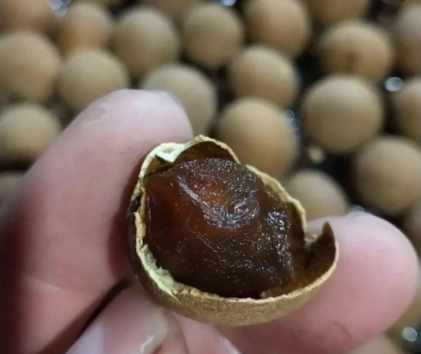 入秋吃哪些水果-龙眼干的功效与作用及食用方法2