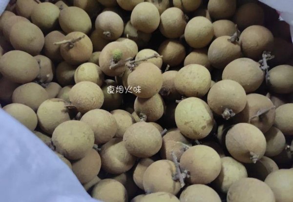 入秋吃哪些水果-龙眼干的功效与作用及食用方法3