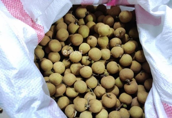 入秋吃哪些水果-龙眼干的功效与作用及食用方法4