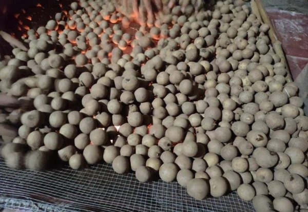 入秋吃哪些水果-龙眼干的功效与作用及食用方法5