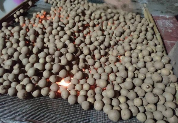 入秋吃哪些水果-龙眼干的功效与作用及食用方法6