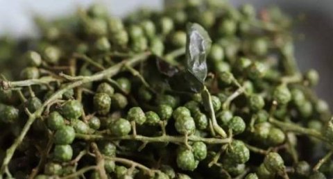 怎样才能激发花椒的麻味-花椒如何才能把麻味发挥出来最好2