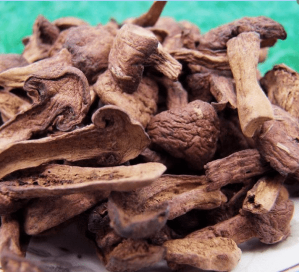 中国哪里的蘑菇最好吃-中国蘑菇排行榜3