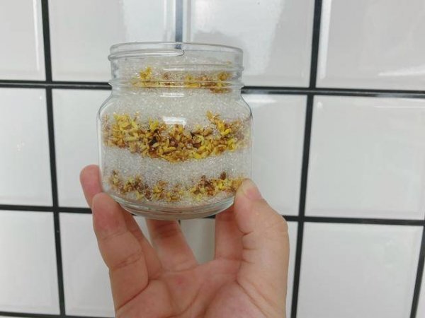 桂花怎么保存比较好-糖桂花的做法7