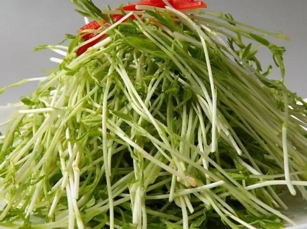 中年人吃什么食物好-中年...