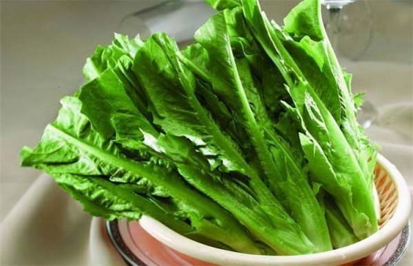中年人吃什么食物好-中年人适合吃的食物3