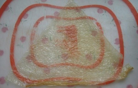 腐衣卷是什么-腐衣鲜肉卷怎么做10