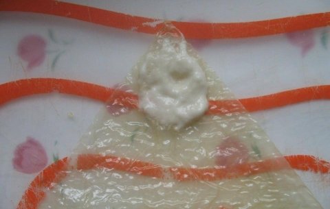 腐衣卷是什么-腐衣鲜肉卷怎么做11