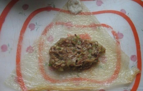 腐衣卷是什么-腐衣鲜肉卷怎么做12