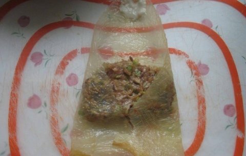 腐衣卷是什么-腐衣鲜肉卷怎么做13