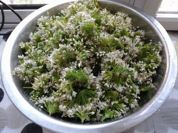 韭菜花怎么做最好吃-韭菜花酱的家常做法2