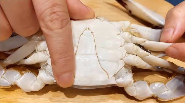 怎样挑选梭子蟹最好-挑选梭子蟹的方法3