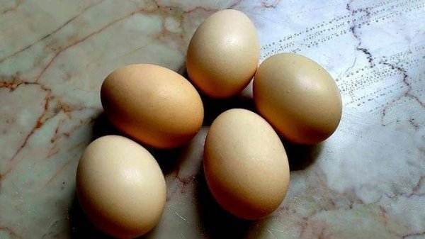 为什么都提倡吃鸡蛋不吃鸭...