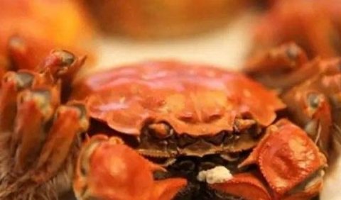 螃蟹和什么菜搭配最好-螃蟹和什么一起吃比较好1