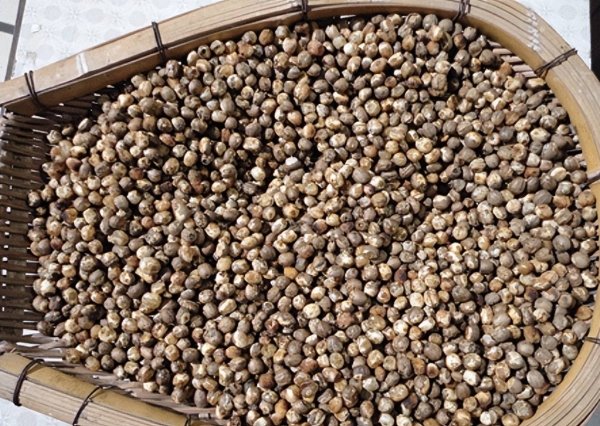 竹米是什么-竹米的功效与作用及食用方法5