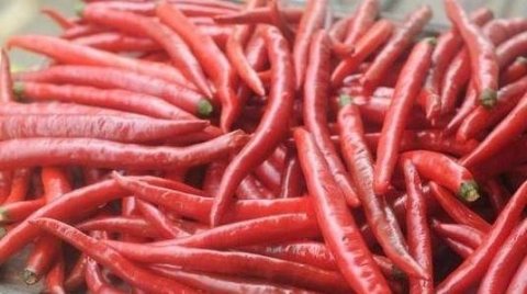 腌辣椒怎么腌好吃又脆-腌辣椒新做法步骤2