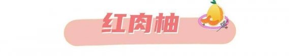 怎么挑选柚子-各种柚子的区别4
