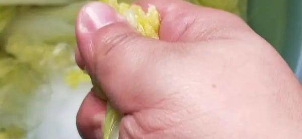 开水白菜国宴-开水白菜的正宗做法6