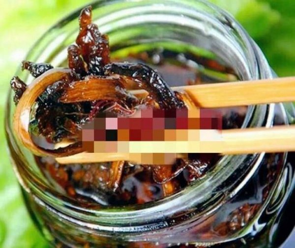鸡枞菌怎么采摘-鸡枞菌采摘技巧7