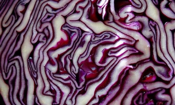 秋天补血养气吃什么好-秋天补血养气的食物3