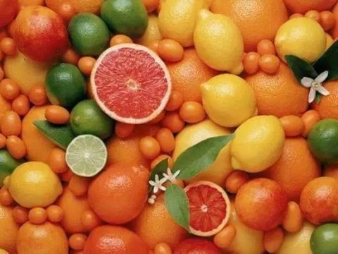 秋季适合吃什么食物养生-秋季多吃哪些食物养生7