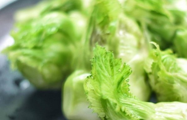 儿菜是什么菜-儿菜有几种做法6