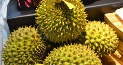 买榴莲时挑大的还是小的好-榴莲应该怎么挑选1