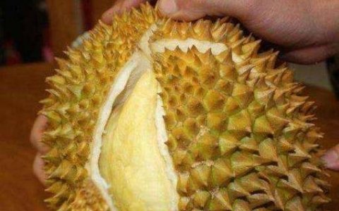 买榴莲时挑大的还是小的好-榴莲应该怎么挑选2
