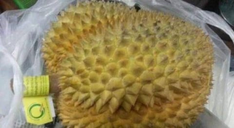 买榴莲时挑大的还是小的好-榴莲应该怎么挑选5